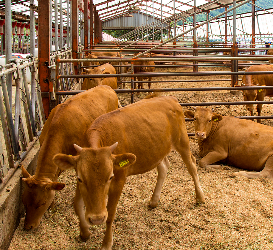 insong_main03_img_01